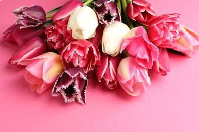 Photo of Beautiful tulip flowers on pink background, closeup