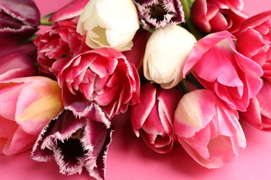 Photo of Beautiful tulip flowers on pink background, closeup