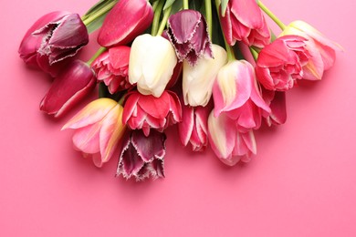 Photo of Beautiful tulip flowers on pink background, top view