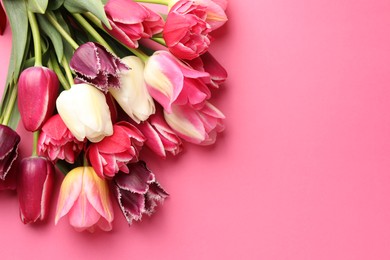 Photo of Beautiful tulip flowers on pink background, top view. Space for text