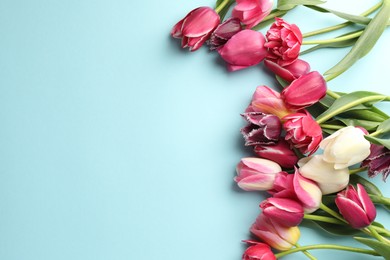 Photo of Beautiful tulips on light blue background, flat lay. Space for text