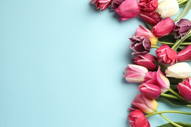 Photo of Beautiful tulips on light blue background, flat lay. Space for text