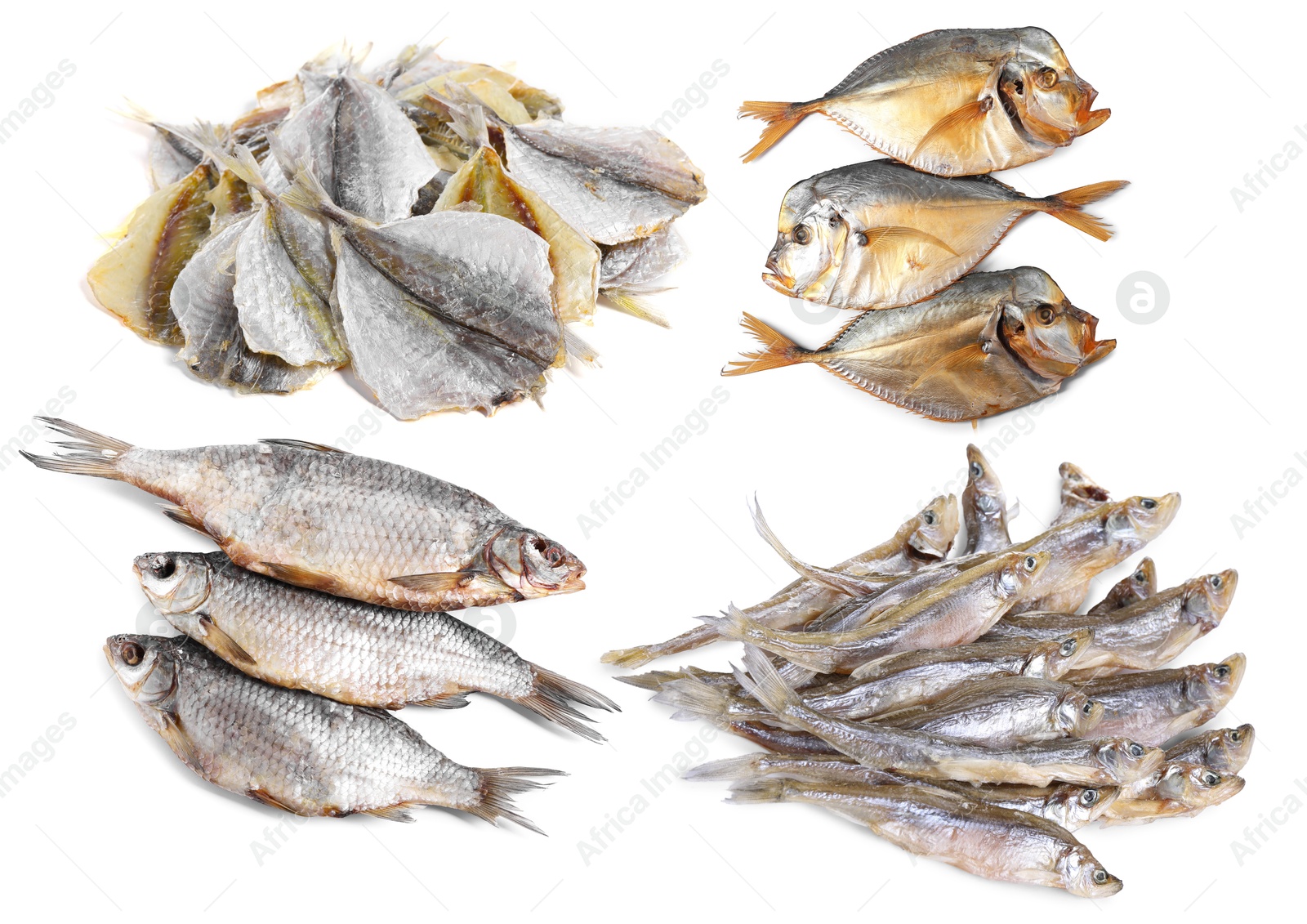 Different dried fish isolated on white, set Image of Different dried fish isolated on white, set