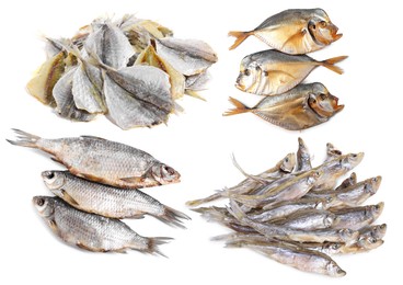 Image of Different dried fish isolated on white, set