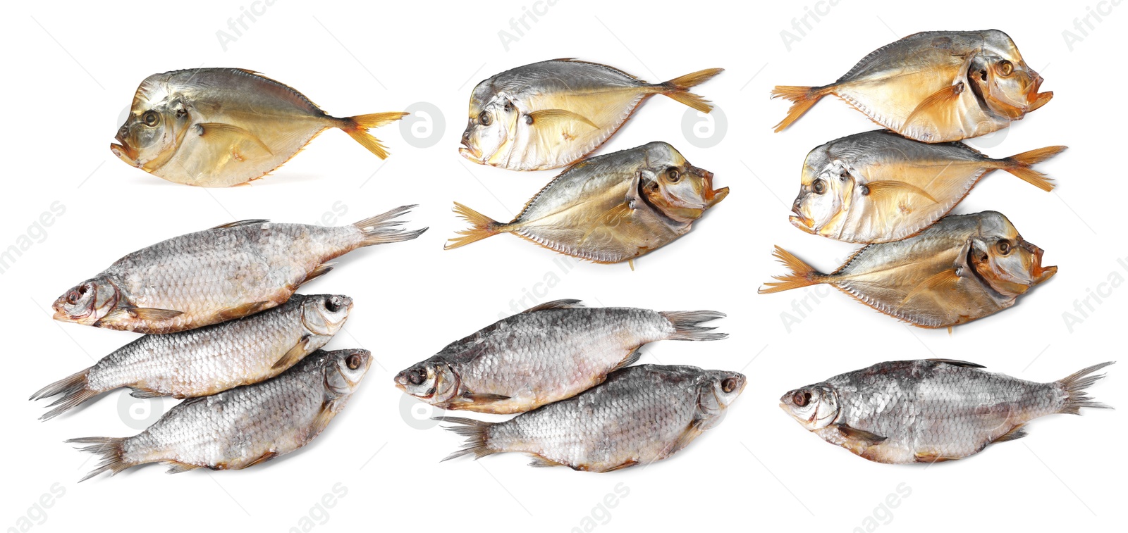 Different dried fish isolated on white, set Image of Different dried fish isolated on white, set