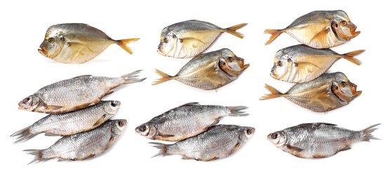 Image of Different dried fish isolated on white, set