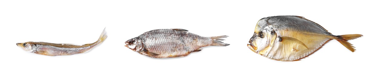 Image of Different dried fish isolated on white, set. Top view