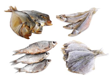Image of Different dried fish isolated on white, set
