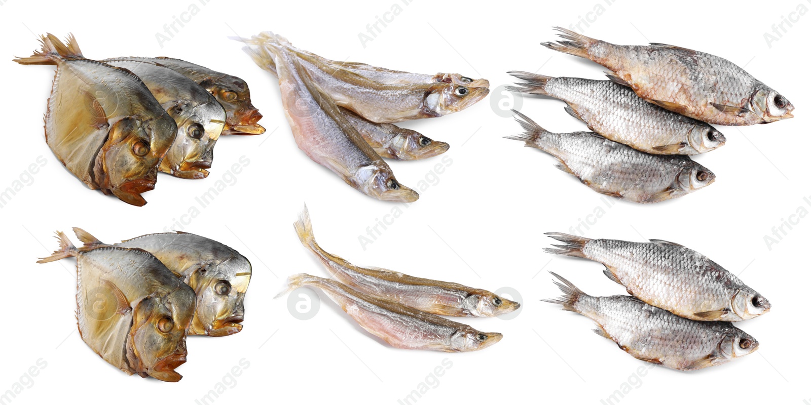 Different dried fish isolated on white, set Image of Different dried fish isolated on white, set