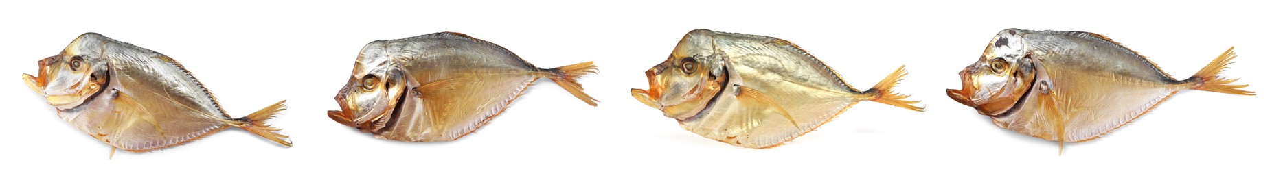 Image of Dried moonfish isolated on white, set. Top view