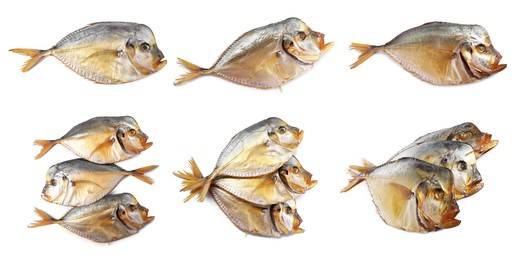 Image of Dried moonfish isolated on white, set. Salty snack