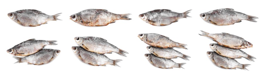 Image of Dried roach fish isolated on white, set. Top view
