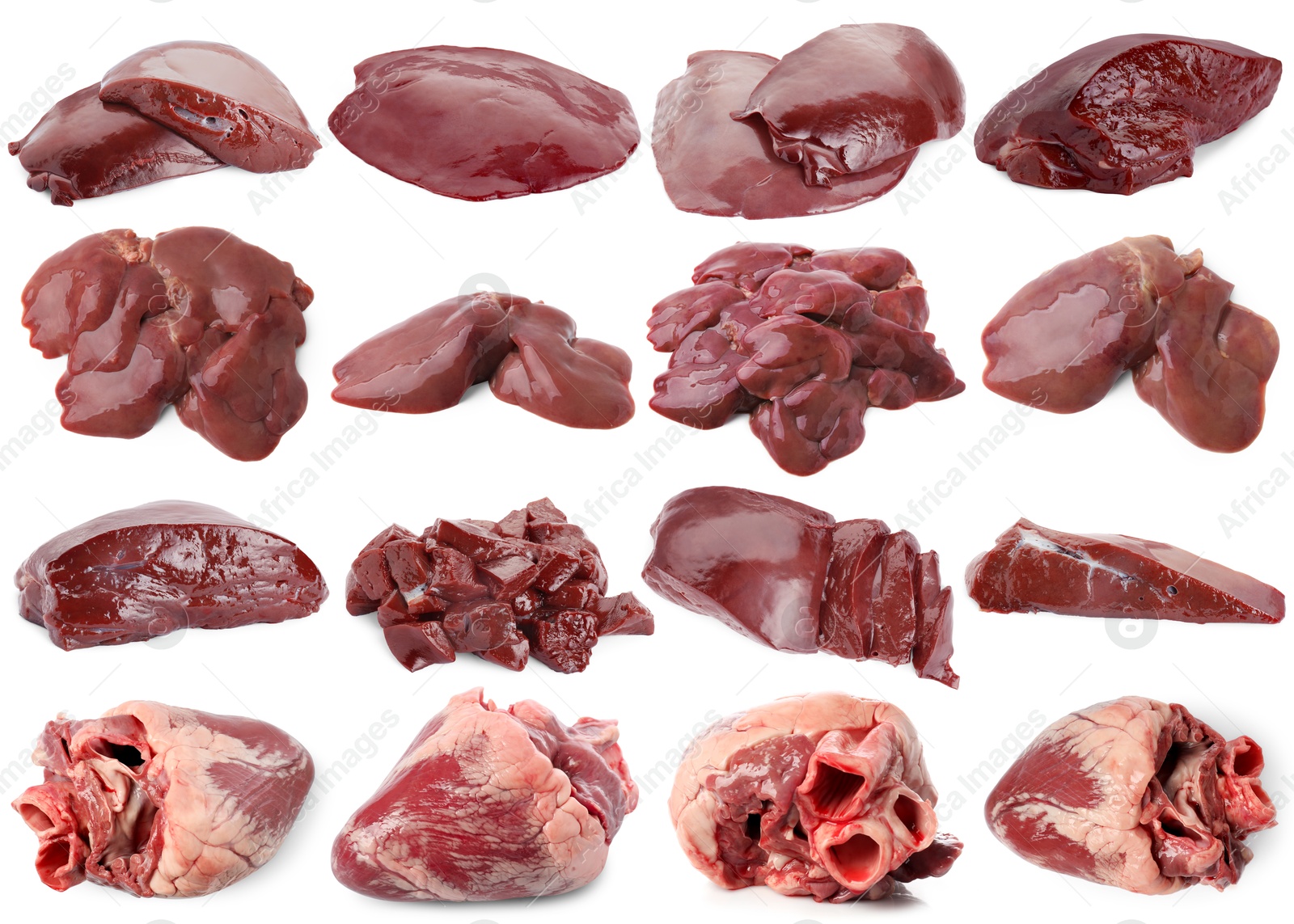 Fresh raw organ meats on white background, set Image of Fresh raw organ meats on white background, set