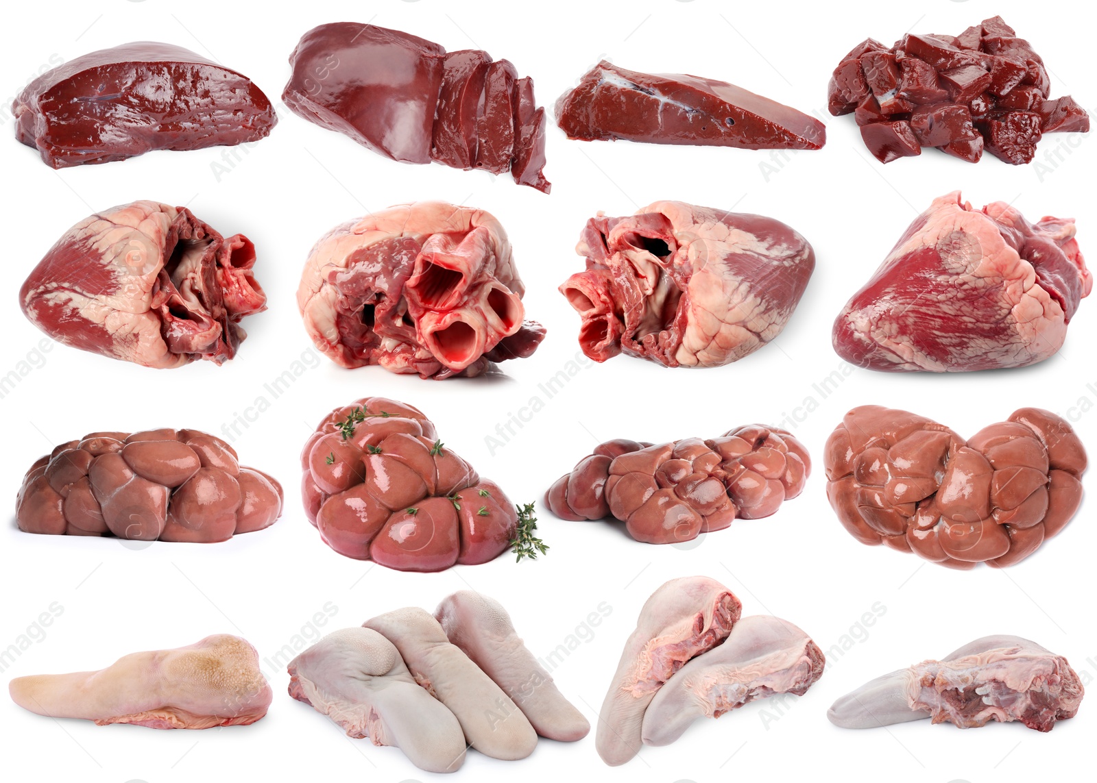 Fresh raw organ meats on white background, set Image of Fresh raw organ meats on white background, set