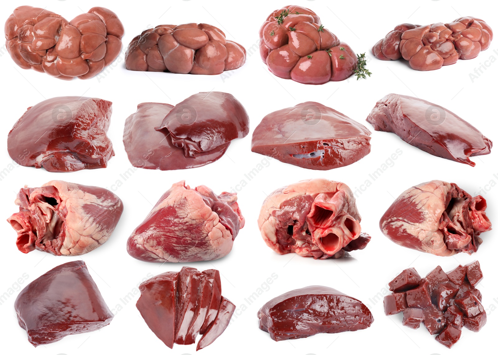 Fresh raw organ meats on white background, set Image of Fresh raw organ meats on white background, set