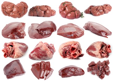 Image of Fresh raw organ meats on white background, set
