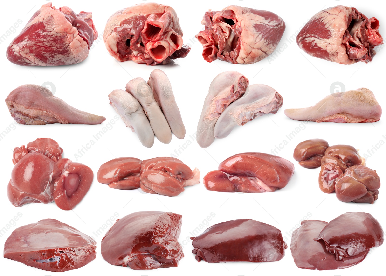 Fresh raw organ meats on white background, set Image of Fresh raw organ meats on white background, set