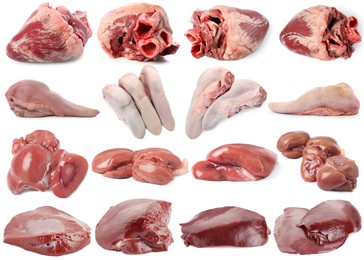 Image of Fresh raw organ meats on white background, set