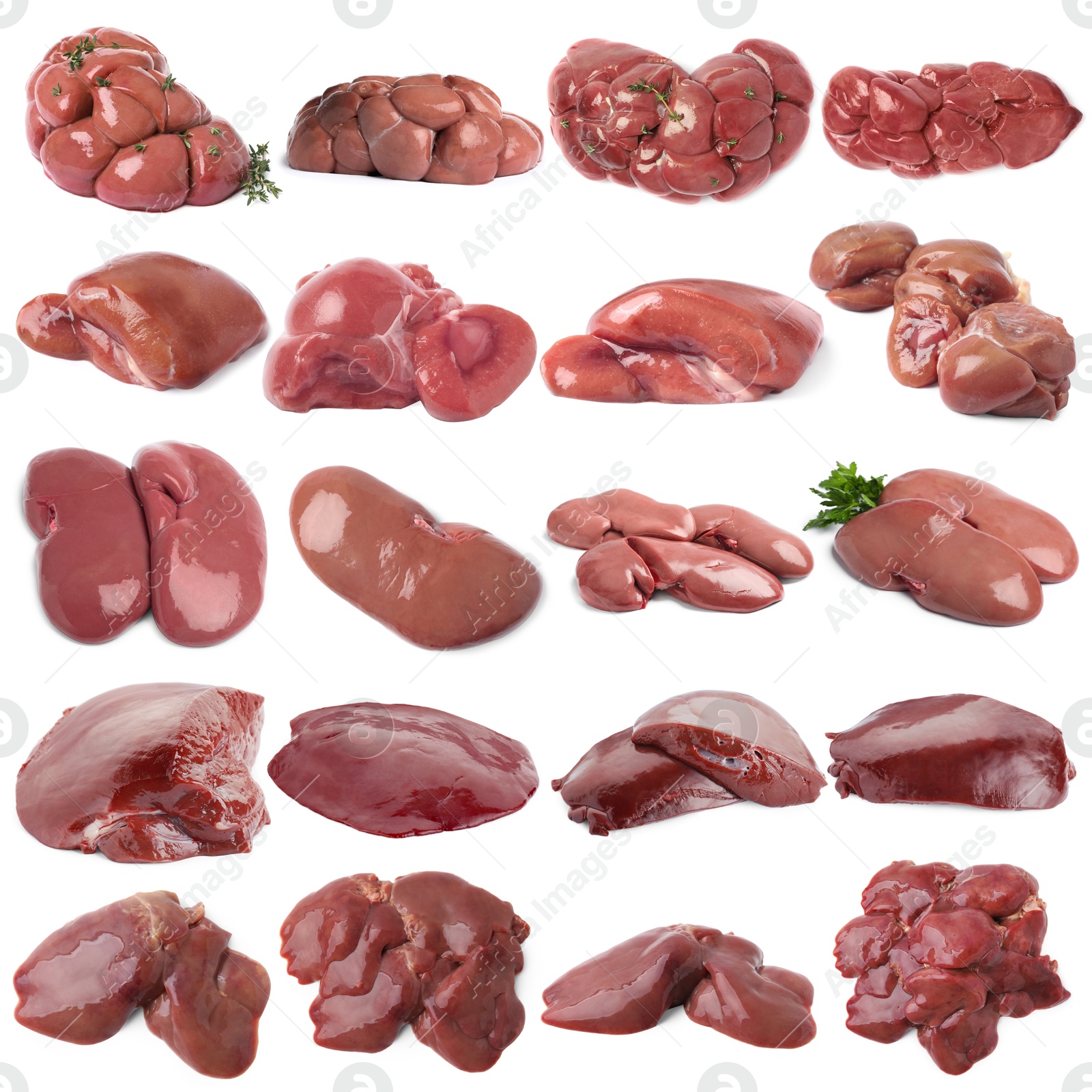 Fresh raw organ meats on white background, set Image of Fresh raw organ meats on white background, set