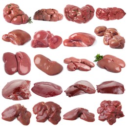 Image of Fresh raw organ meats on white background, set