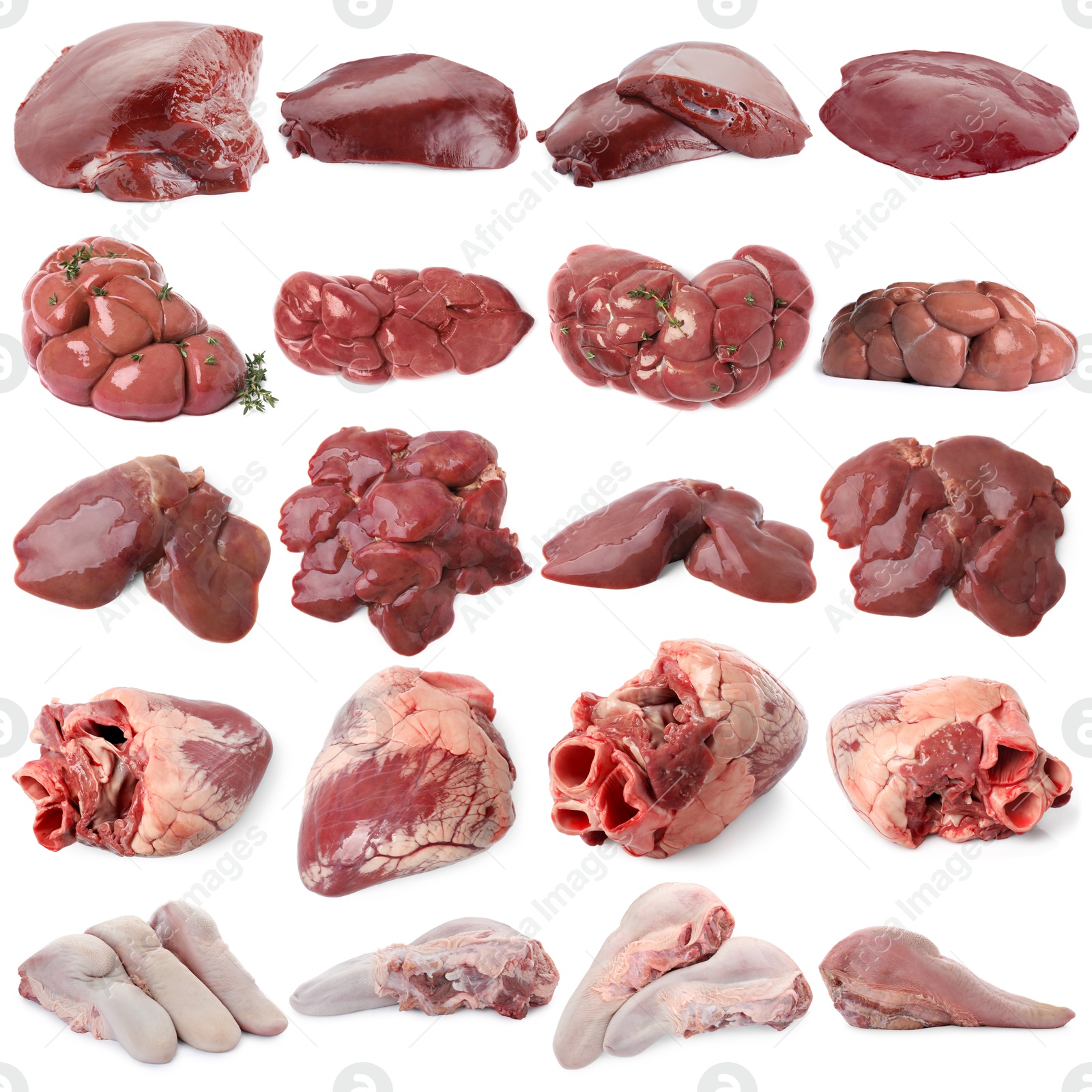 Fresh raw organ meats on white background, set Image of Fresh raw organ meats on white background, set