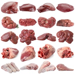 Image of Fresh raw organ meats on white background, set