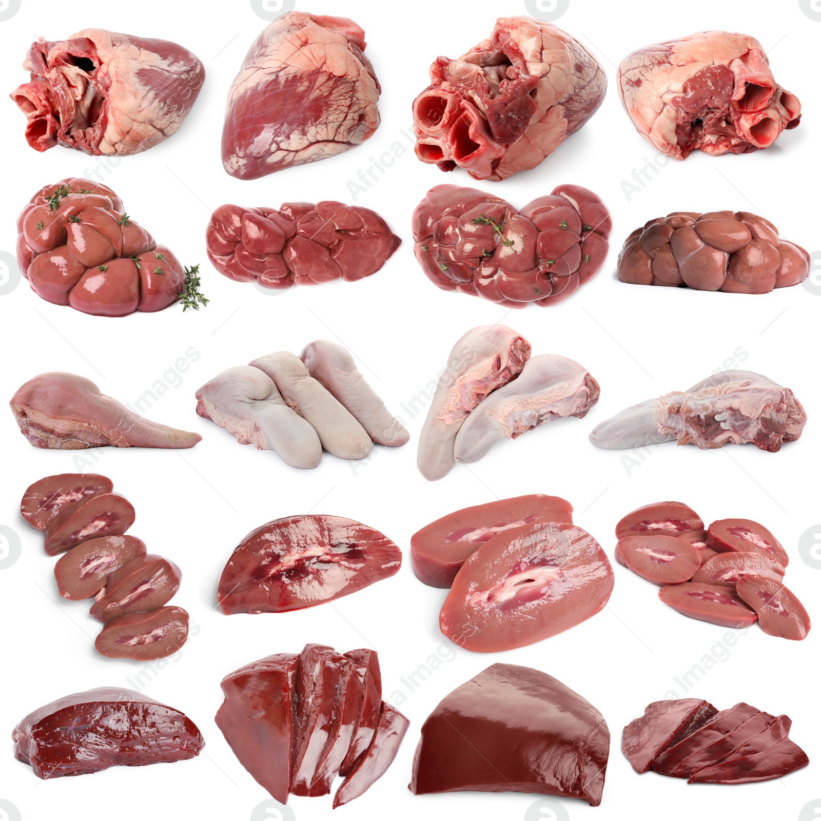 Fresh raw organ meats on white background, set Image of Fresh raw organ meats on white background, set