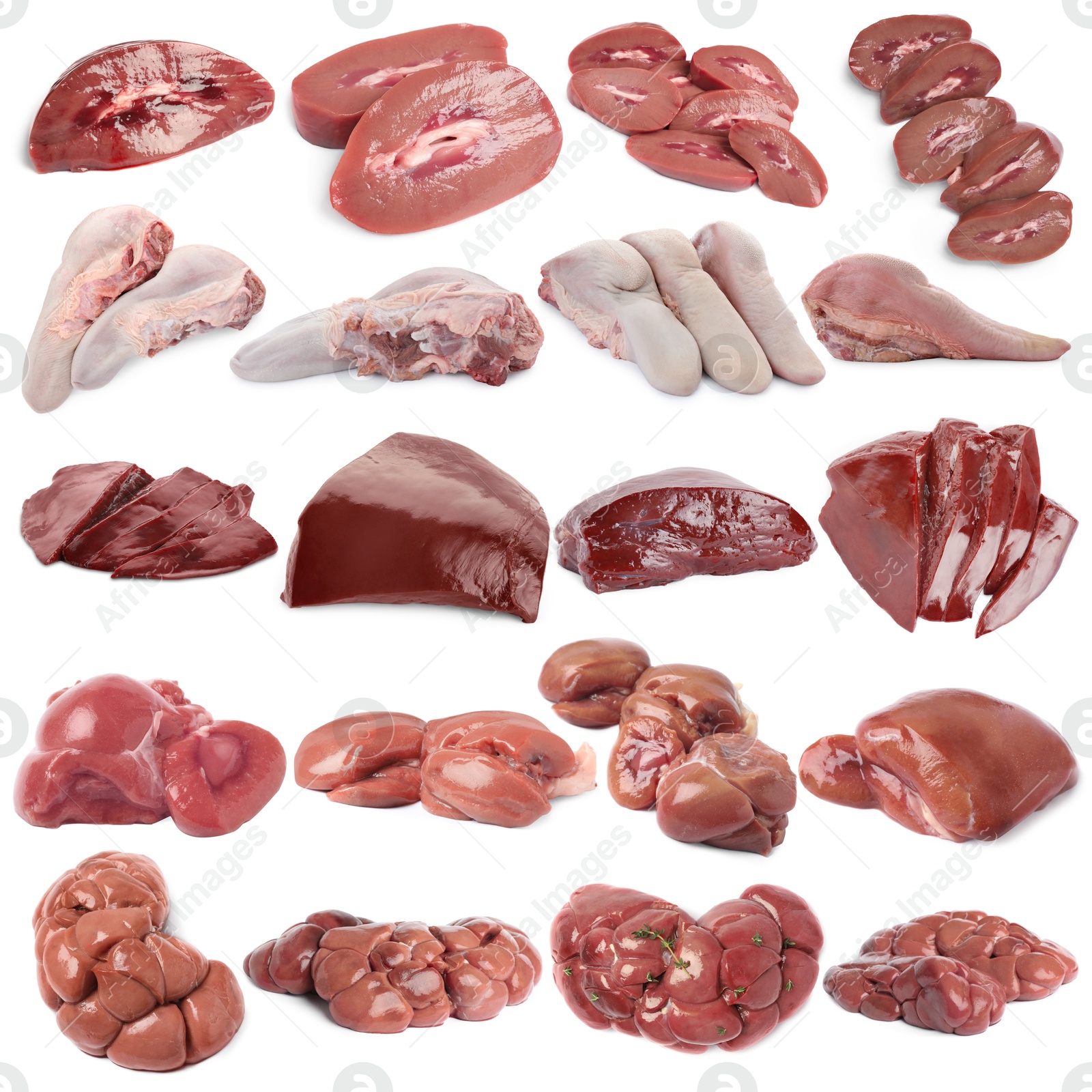 Fresh raw organ meats on white background, set Image of Fresh raw organ meats on white background, set
