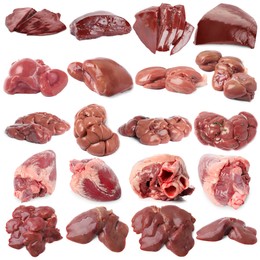 Image of Fresh raw organ meats on white background, set