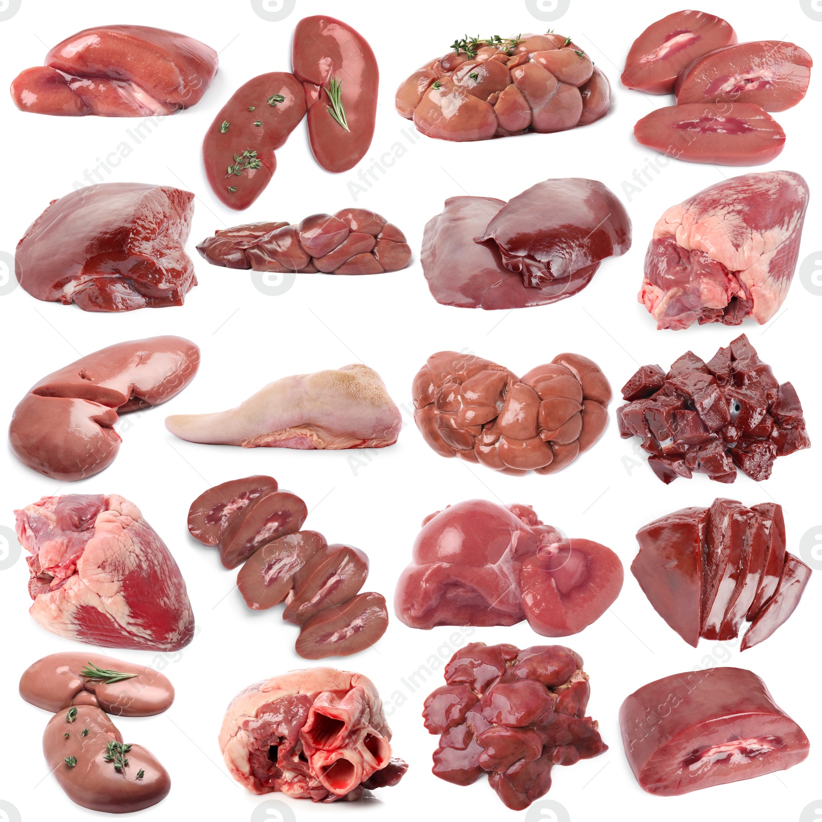 Fresh raw organ meats on white background, set Image of Fresh raw organ meats on white background, set