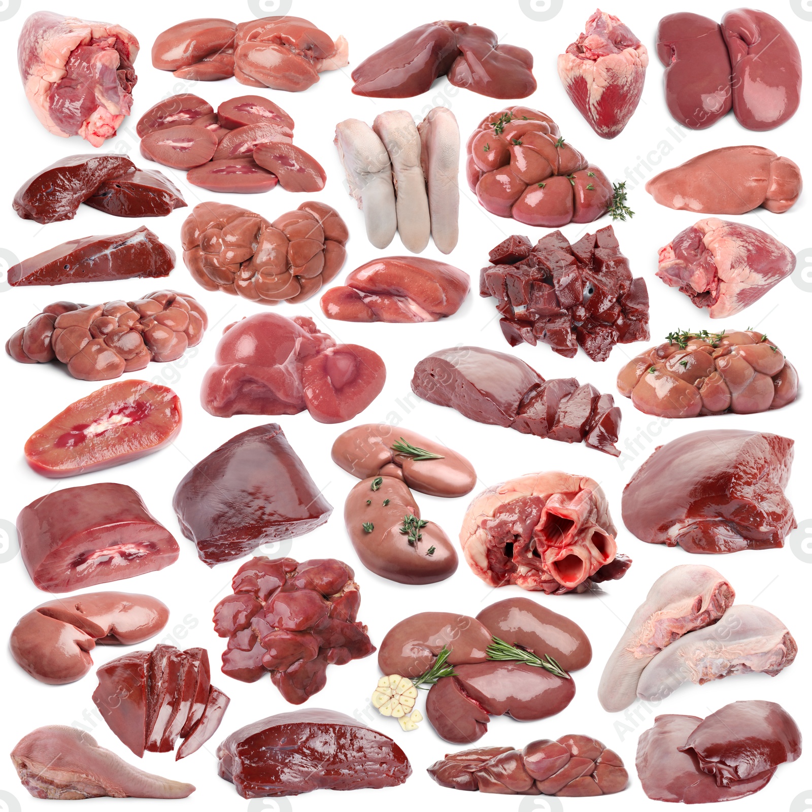 Fresh raw organ meats on white background, set Image of Fresh raw organ meats on white background, set