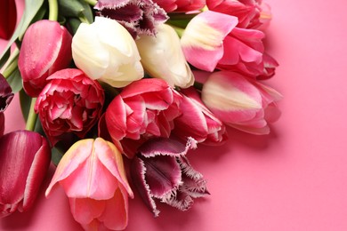 Photo of Beautiful tulip flowers on pink background, closeup