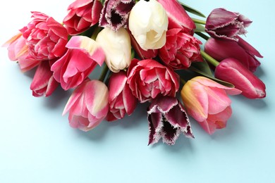 Photo of Beautiful tulips on light blue background, closeup