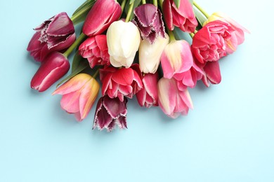 Photo of Beautiful tulips on light blue background, top view