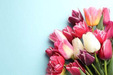 Photo of Beautiful tulips on light blue background, top view. Space for text