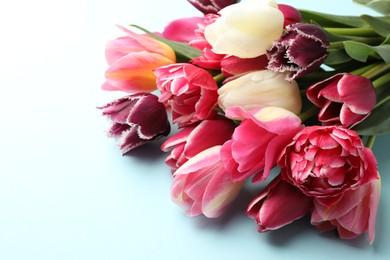 Photo of Beautiful tulips on light blue background, closeup
