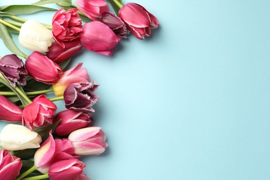 Photo of Beautiful tulips on light blue background, flat lay. Space for text