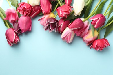 Photo of Beautiful tulips on light blue background, flat lay. Space for text