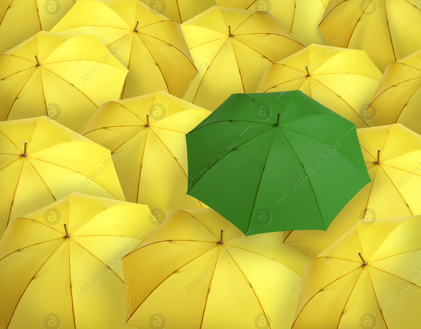 Image of Green umbrella among yellow ones as background, closeup. Different, unique, special
