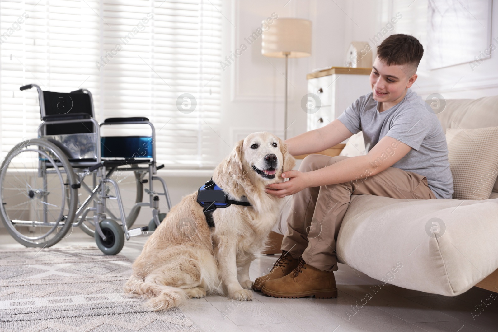 Photo of Teenage boy with disability and his service dog at home