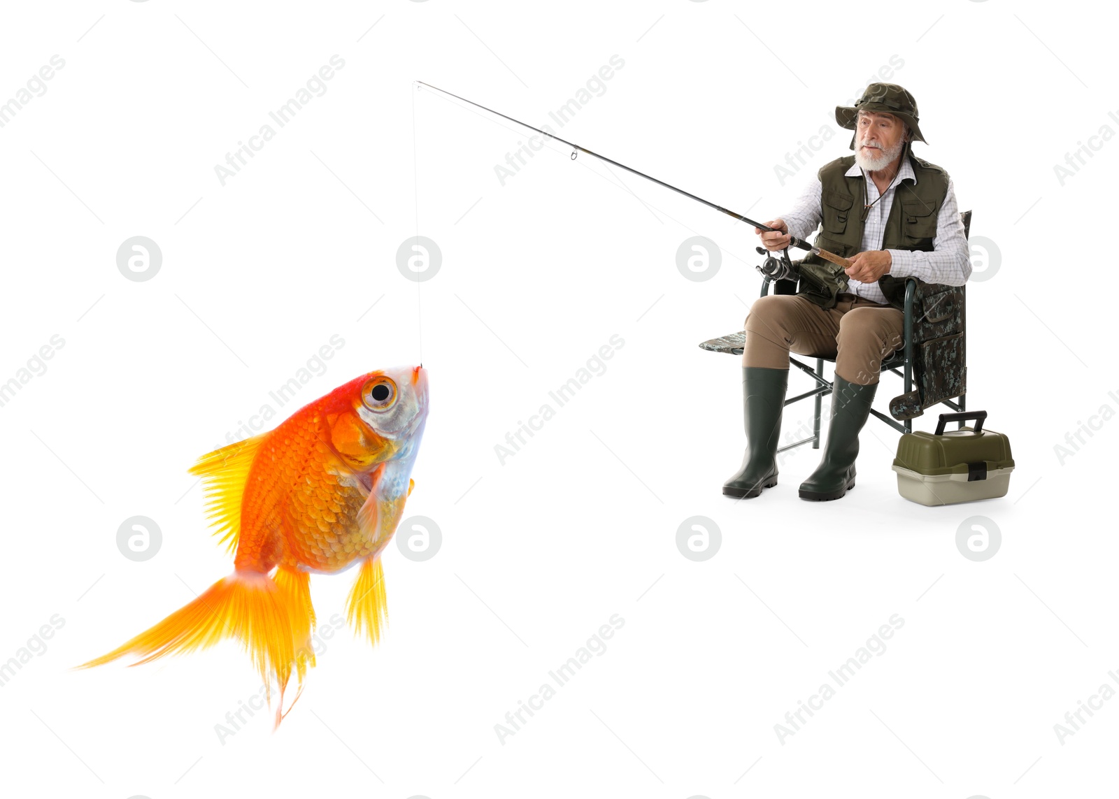 Image of Fisherman catching goldfish with rod on white background