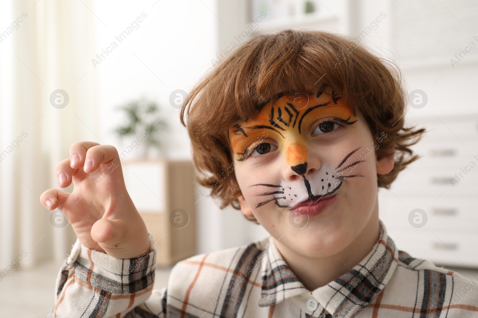 Cute boy with tiger face painting indoors Photo of Cute boy with tiger face painting indoors