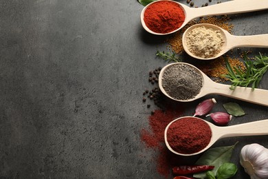 Photo of Many different spices in spoons on grey table, flat lay. Space for text