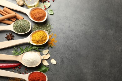 Photo of Many different spices in spoons on grey table, flat lay. Space for text