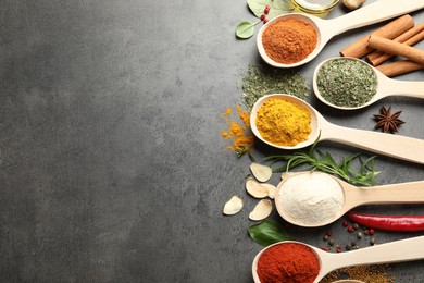 Photo of Many different spices in spoons on grey table, flat lay. Space for text