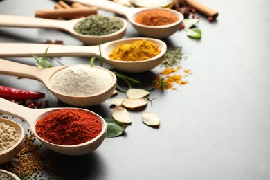Photo of Many different spices in spoons on grey table, closeup. Space for text