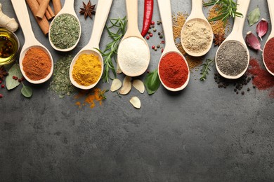 Photo of Many different spices in spoons on grey table, flat lay. Space for text
