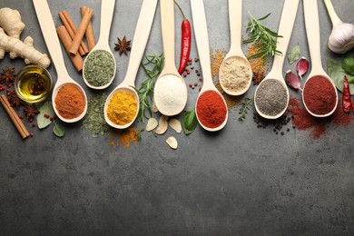 Photo of Many different spices in spoons on grey table, flat lay. Space for text