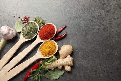 Photo of Many different spices in spoons on grey table, flat lay. Space for text