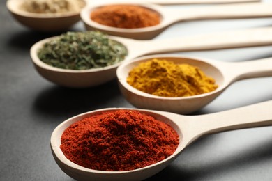 Photo of Many different spices in spoons on grey table, closeup